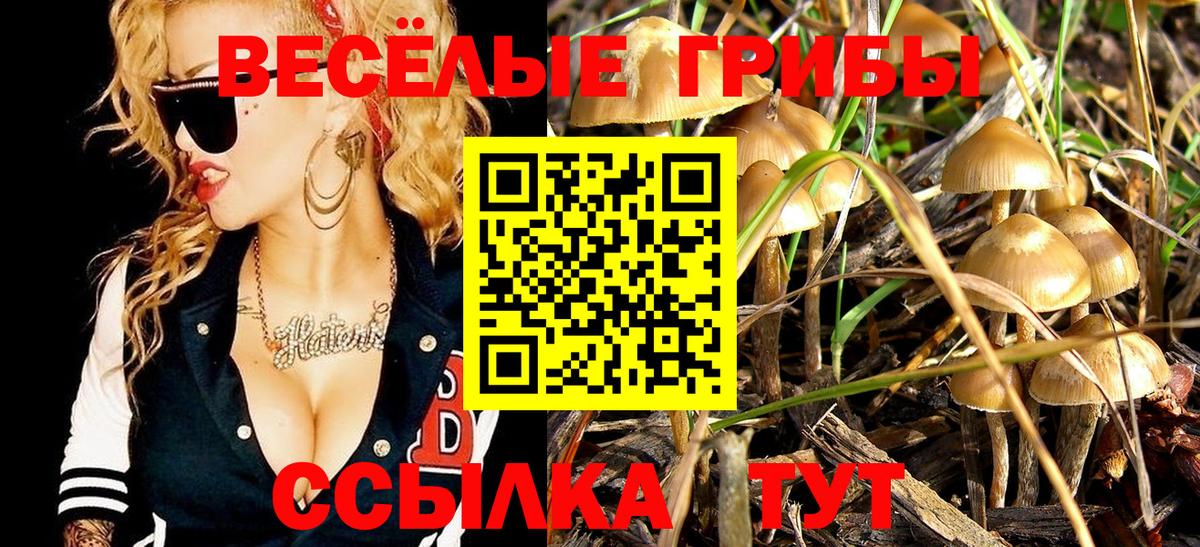 Псилоцибиновые грибы Cubensis Когалым